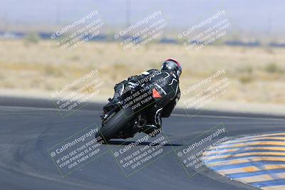 media/May-13-2023-SoCal Trackdays (Sat) [[8a473a8fd1]]/Turn 11 Backside (945am)/